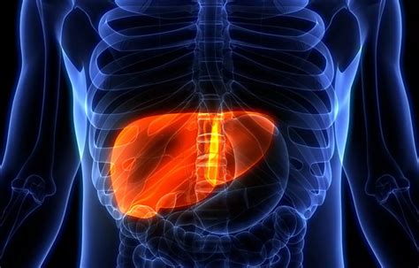 COVID-19: Chronic liver disease patients at high risk of liver failure ...