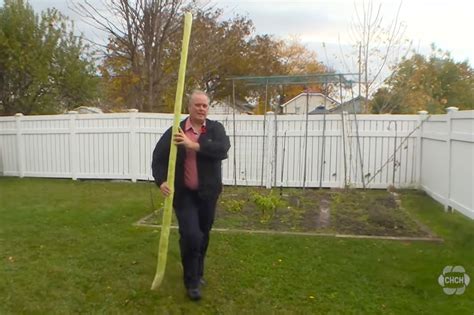 8-foot zucchini grows in Ontario, Canada: Is it a world record?