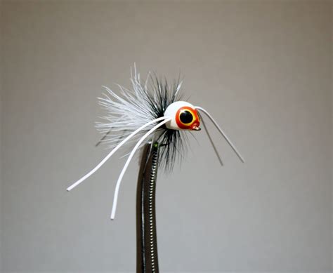 Rollie Pollie Bug – Breambugs.com