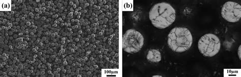 Mg Powder 的图像结果
