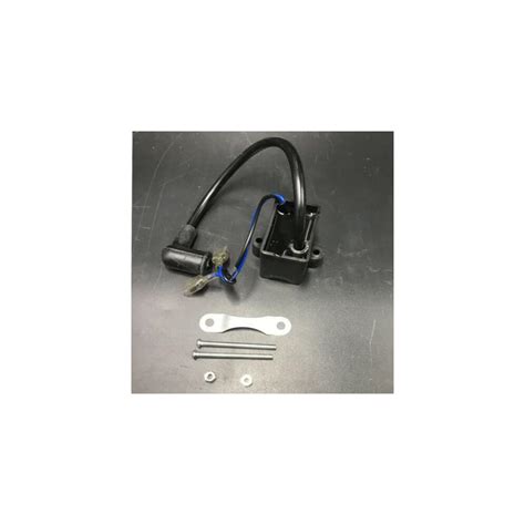 Capacitor Discharge Ignition CDI - 2 Stroke | Ubuy India