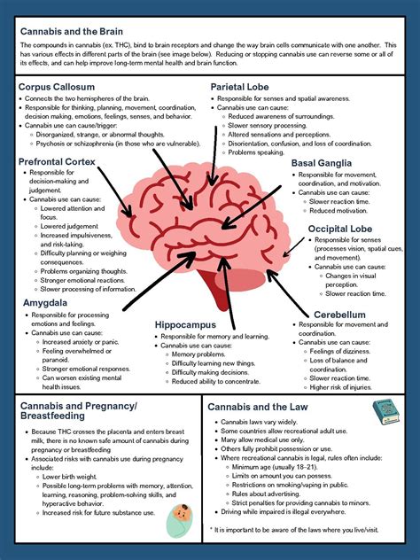 Marijuana/Cannabis Education for Teens (Gr.8-12): Fact-Based Handout ...