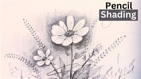 Drawing and Painting for beginners | Flower painting | white flower ...