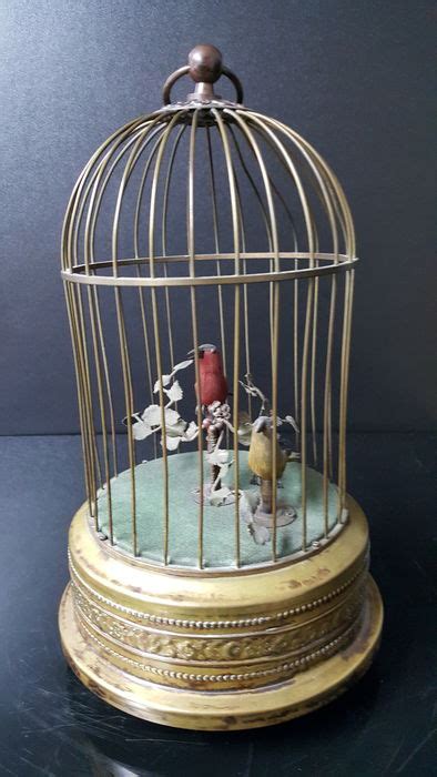 Cage Oiseau Musicale