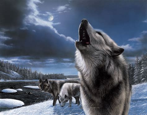 Wolves Howling 的图像结果