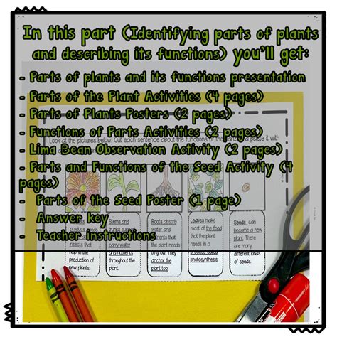 First Grade Science 的图像结果