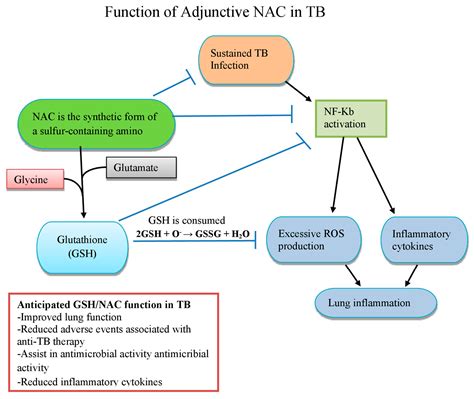 Impact of N-Acetyl Cysteine (NAC) on Tuberculosis (TB) Patients—A Systematic Review