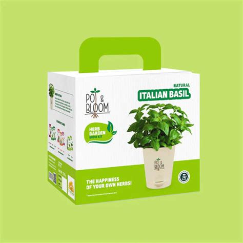 DIY Plant Cultivation: A Beginner's Guide to Growing Plants | Pot and Bloom