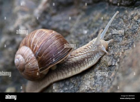 Image result for Sequence Range in Python
