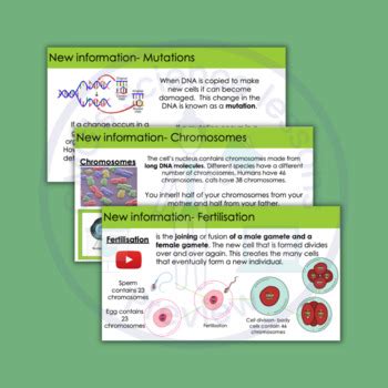 Image result for Genetic Inheritance Free Science Lessons