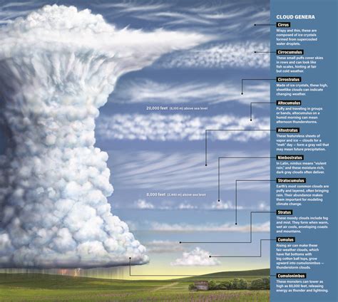 How Do Clouds Look Like? A Guide To Identifying Sky Formations