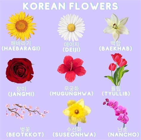 Male Names In Korean