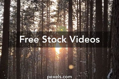 Image result for Snowfall Video Loop