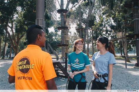 Forest Adventure 的图像结果