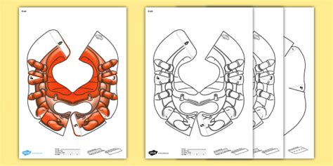 Crab Jacket (Compatible with Bee-Bot)