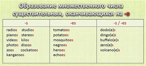 Образование множественного числа в английском языке, исключения