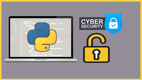 Image result for Python Hacking Ninja Course Girl