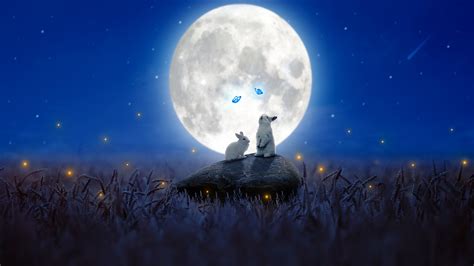 Moon Rabbit: Visualizing Longevity via the Cryptocurrency Ecosystem | Bitcoinist.com