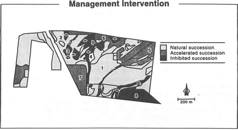 Image result for Ecological Approach Interventions