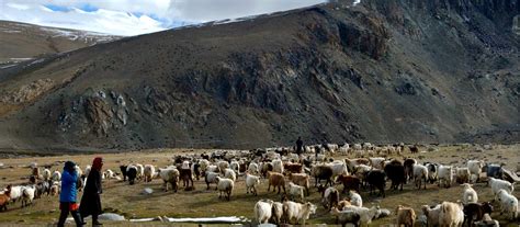 Local Mountain People India 的图像结果