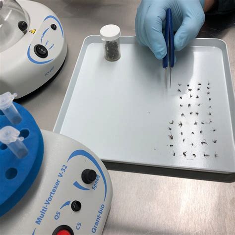 Image result for Vector control Benefits