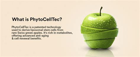 WELLBEING NUTRITION Skin Fuel Pro+|Glutathione,Vit C & E,Vollagen ...