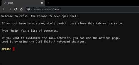 Image result for Chrome OS PC Download