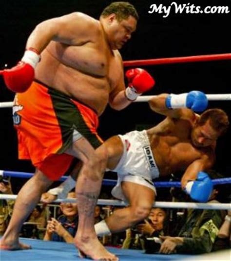 Funny Boxing 的图像结果