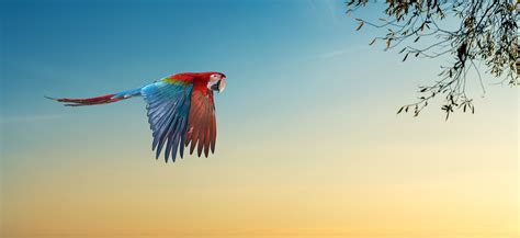 Image result for Language Testing Methods