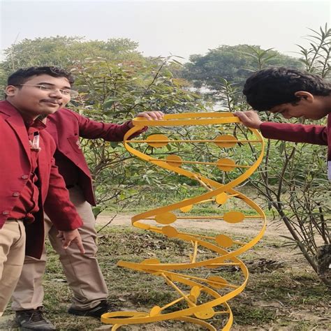 The Indian School