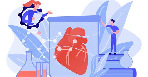 the Role of Stem Cells in Heart Regeneration