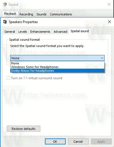 Spatial Sound Format Settings 的图像结果