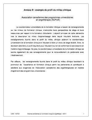 Remplissable En Ligne Remplissable Annexe B : exemple de profil du ...