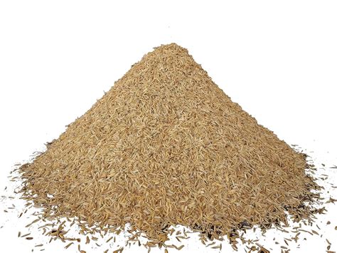 Rice Hulls/Paddy Husk, 19 Kg (Brown) : Amazon.in: Garden & Outdoors
