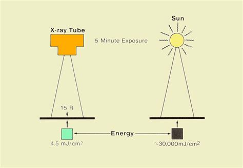 Radiation Scale Chart 的图像结果