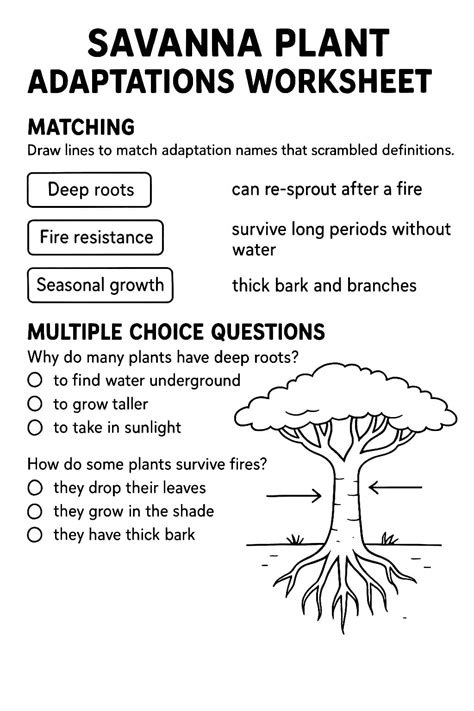 Savanna Plant Adaptations Worksheet - Download & Print Now! - adaptations of plants in the environment
