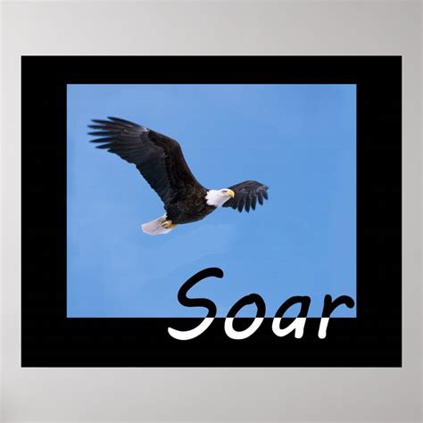 Image result for SOAR