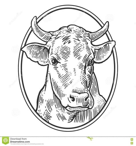 Prize Cow - Farm Logo Design