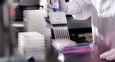 Octet Data Analysis Software 的图像结果