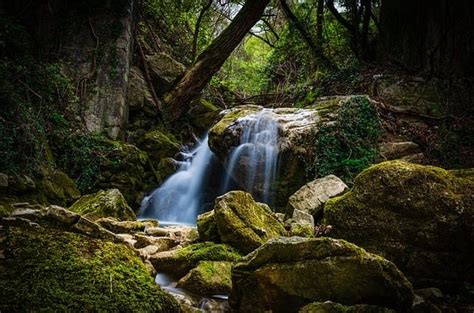 ENVIRONMENTAL ETHICS