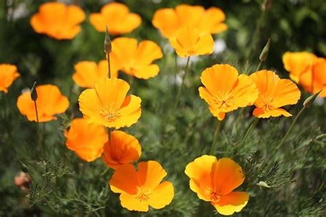 Image result for JavaScript Delete Function