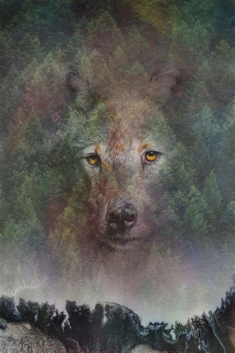 Image result for Drawing of Elements Wolves