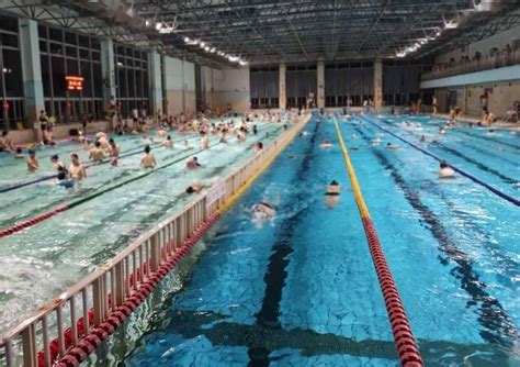 1400余名游泳爱好者元旦横渡长江 完成2018年万里长江第一渡 - 滚动 - 华西都市网新闻频道