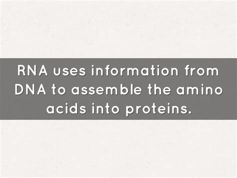Biochemical Example 的图像结果