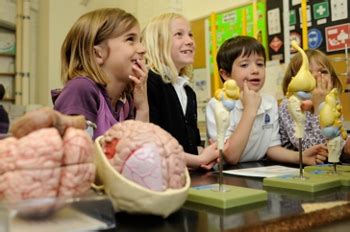 Utah Brain Awareness Week: Touching Brains and Captivating Minds ...