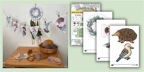 Aussie Animal Fine Motor Toolkit - Parents - EYLF - Twinkl