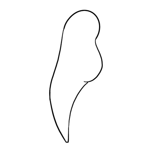 Image result for Parrot Line Drawing