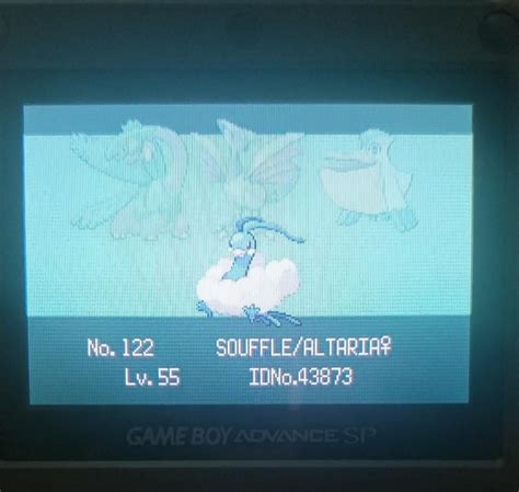 Flying mono type run : r/PokemonEmerald