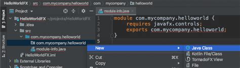 Image result for IntelliJ JavaFX Generator Missing