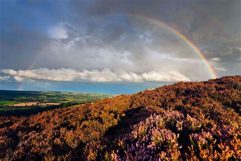 Ilkley Moors, Leeds - TimesTravel
